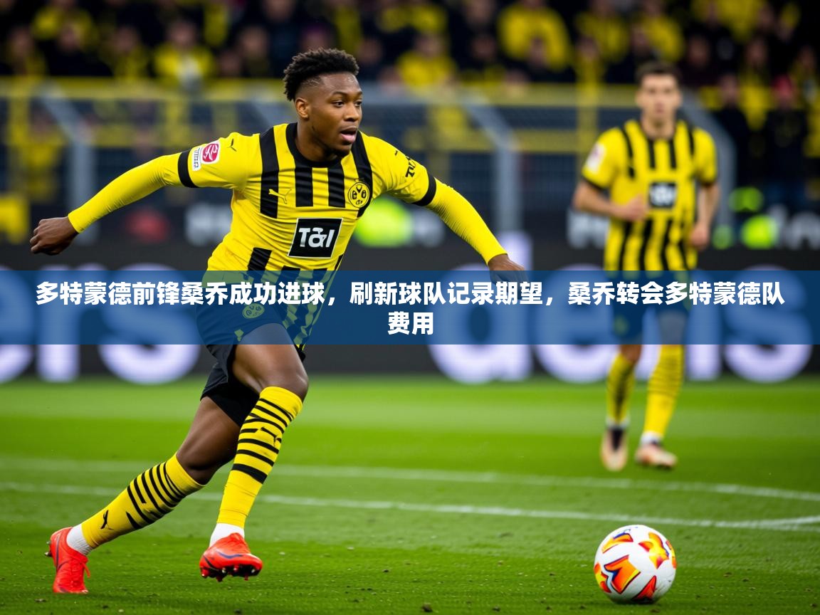 2025意昂体育平台怎么样多特蒙德前锋桑乔成功进球，刷新球队记录期望，桑乔转会多特蒙德队费用  第3张