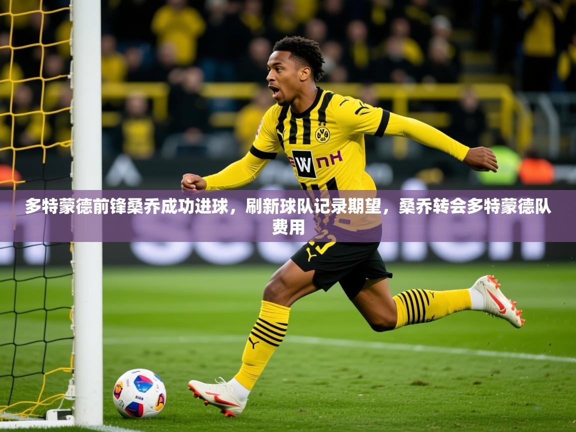 2025意昂体育平台怎么样多特蒙德前锋桑乔成功进球，刷新球队记录期望，桑乔转会多特蒙德队费用  第2张