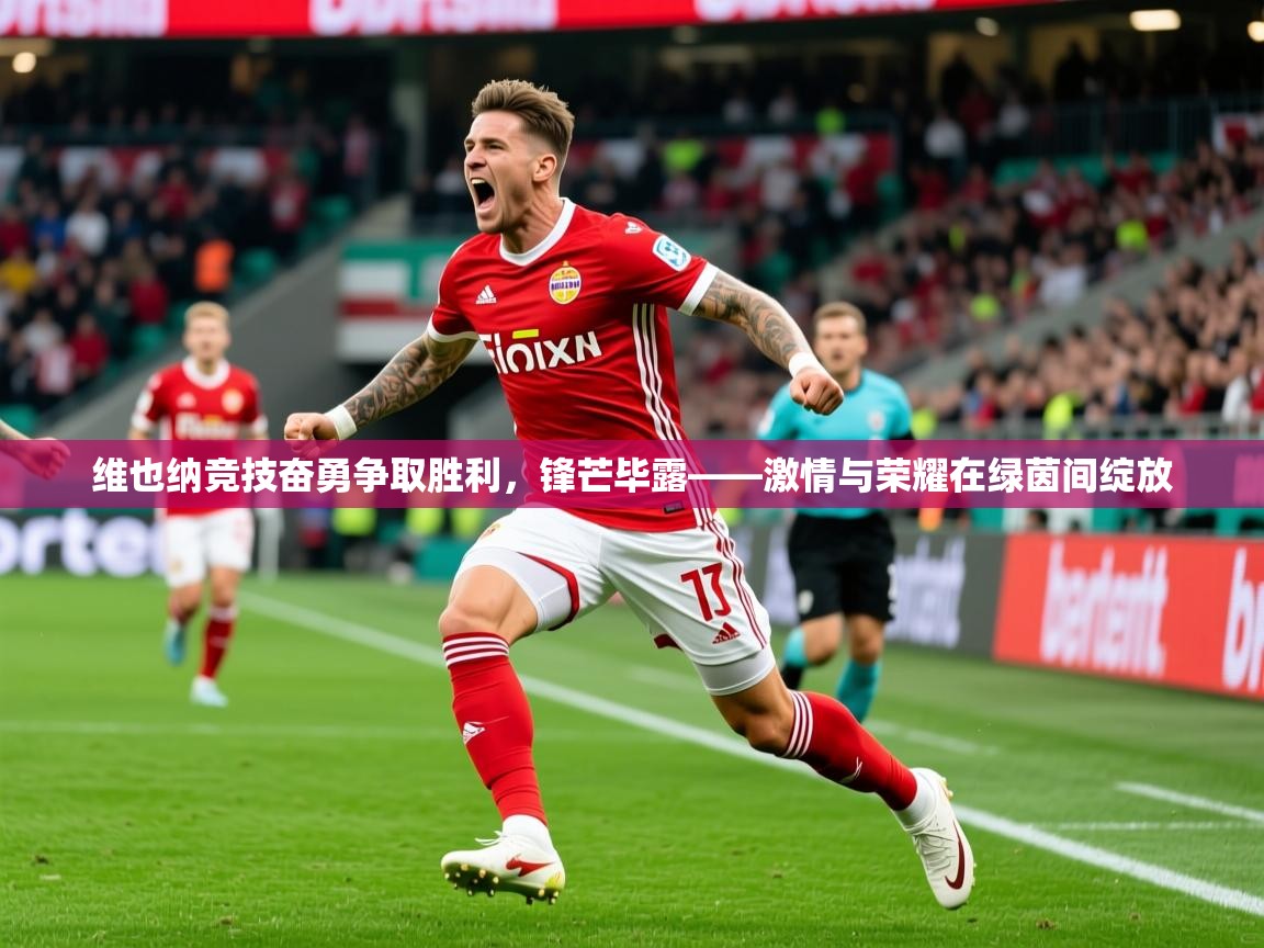 2026v站体育官网维也纳竞技奋勇争取胜利，锋芒毕露——激情与荣耀在绿茵间绽放  第1张